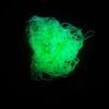 Peppy Party Strings Glow In The Dark